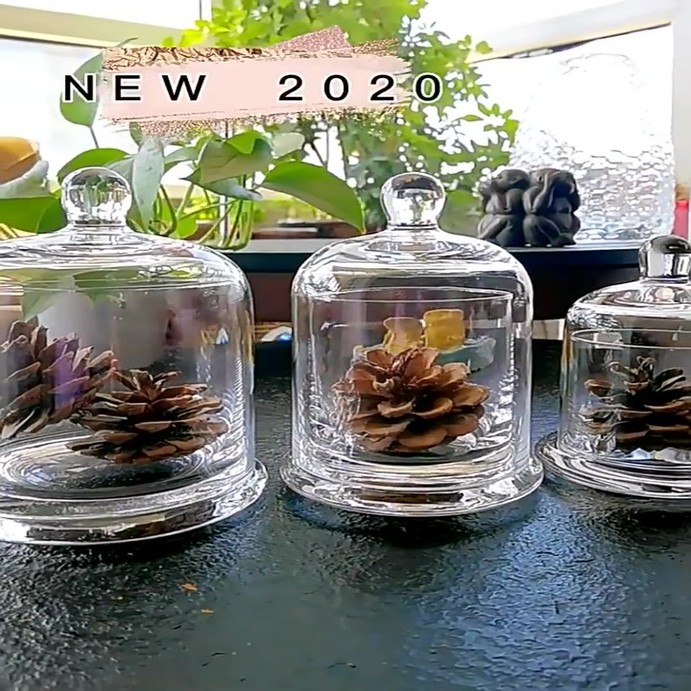 Food Storage Of Plants - Stoples Kaca Penyimpanan Bunga Abadi 8
