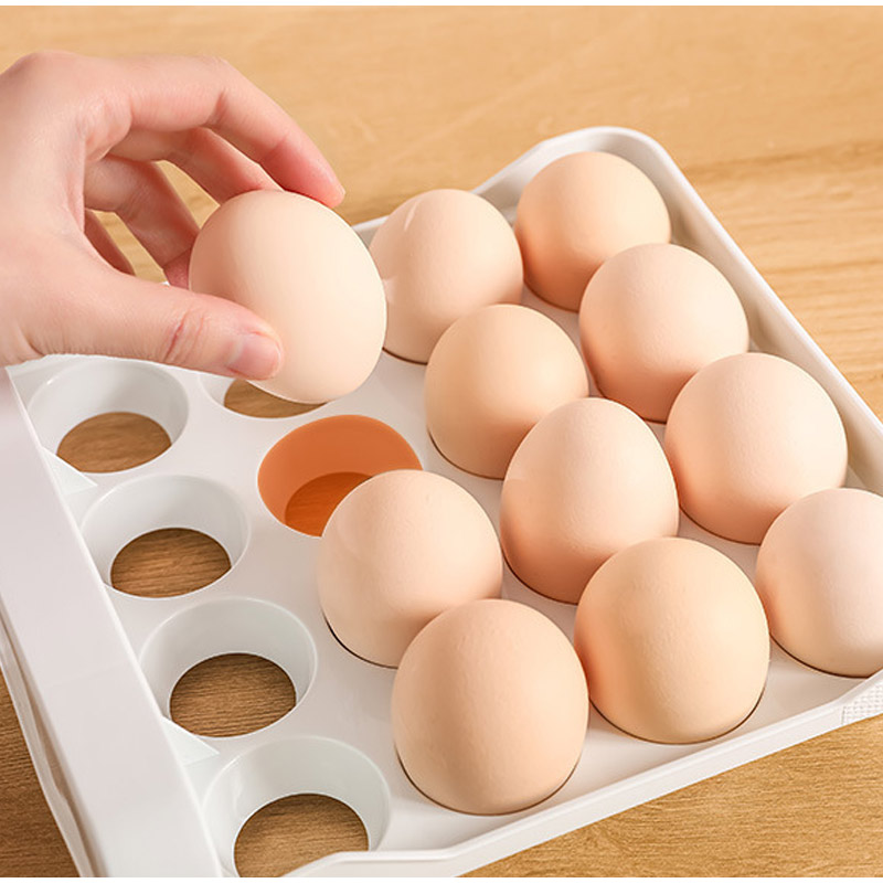 Kotak Penyimpanan Telur Dua La - Egg Storage Holder ulasan dan harga