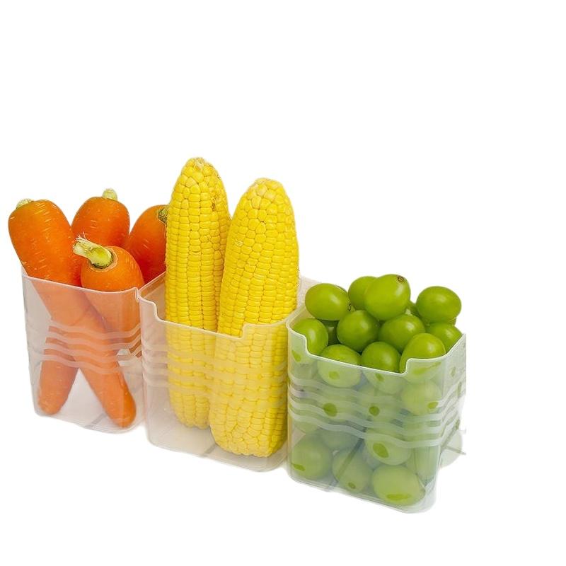 # Kotak Penyimpanan Makanan Ku - Food Storage Box Plastic ulasan dan harga