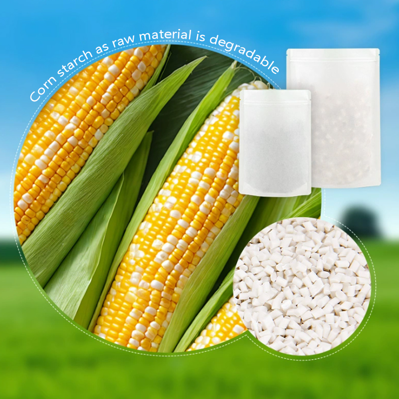 Kantong Kertas Kraft Ramah Lin - Food Storage Of Plants ulasan dan harga