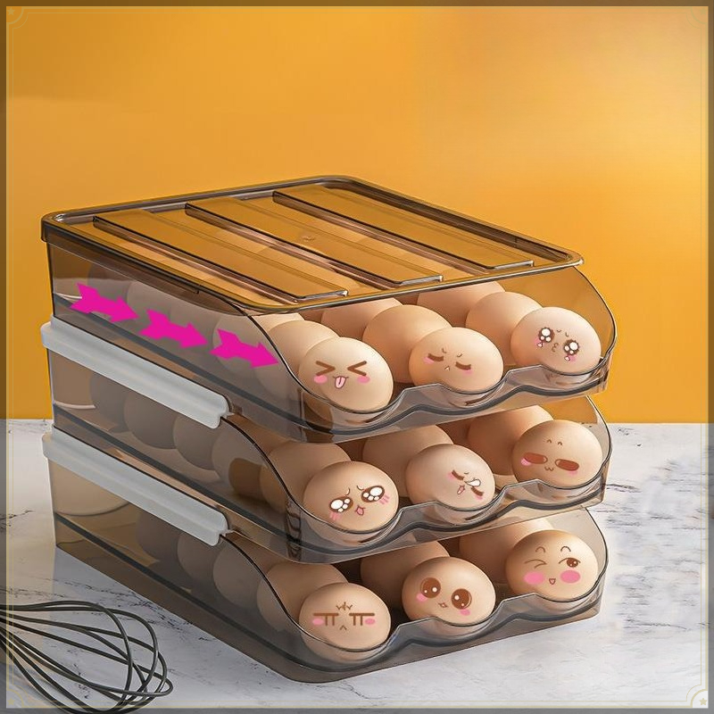 Kotak Penyimpanan Telur PET, D - Egg Storage Holder ulasan dan harga