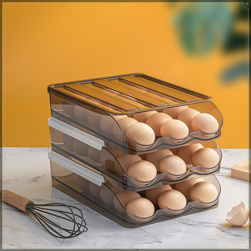 Kotak Penyimpanan Telur PET, D - Egg Storage Holder ulasan dan harga