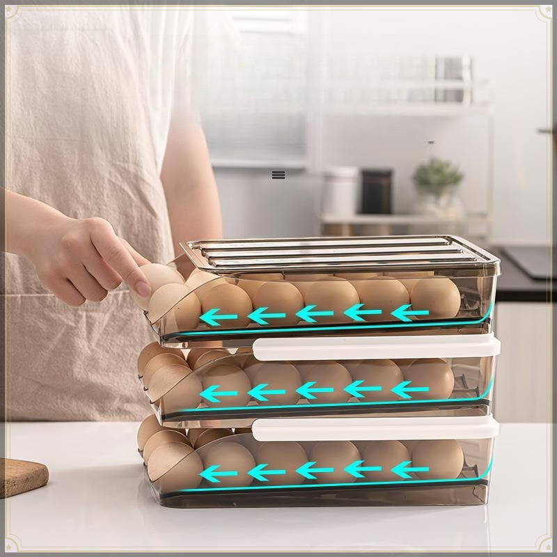 Kotak Penyimpanan Telur PET, D - Egg Storage Holder ulasan dan harga