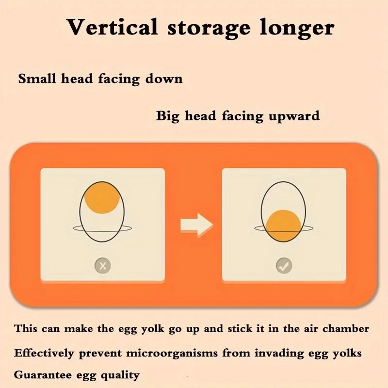 1 Kotak Penyimpanan Telur Dapu - Egg Storage Holder ulasan dan harga